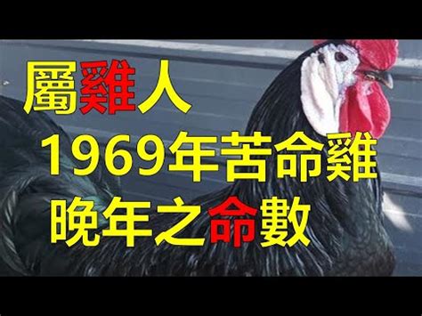 69年次屬什麼生肖 主臥 裝潢